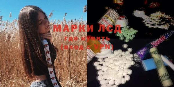 гашик Арсеньев