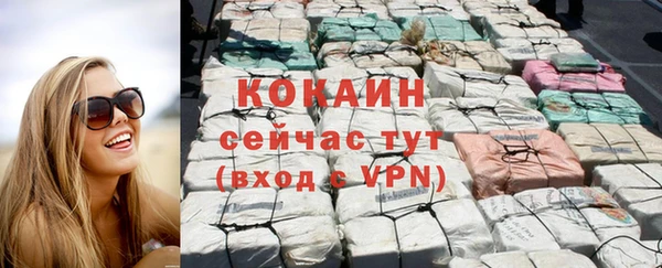 гашик Арсеньев