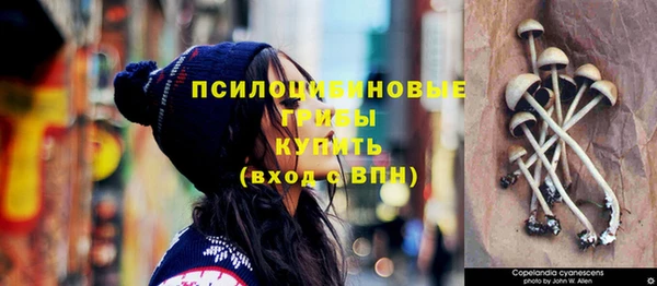 кокс Аркадак