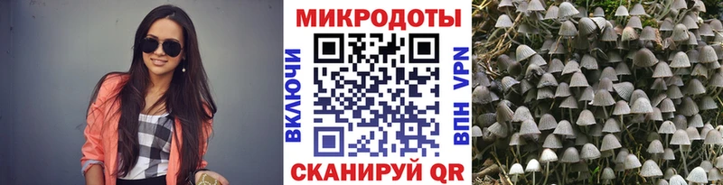 купить  цена  Калтан  Псилоцибиновые грибы Magic Shrooms 